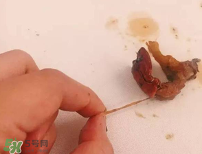 周黑鴨小龍蝦好吃嗎？周黑鴨小龍蝦試吃評測