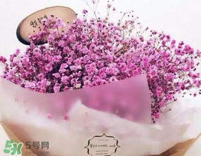 母親節(jié)可以送滿天星嗎？母親節(jié)能送滿天星嗎？