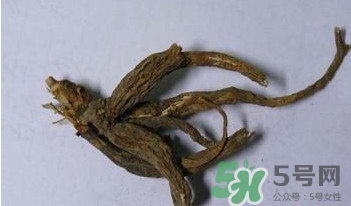 土瓜根是什么？土瓜根粉哪里有賣(mài)的？