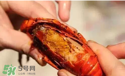 周黑鴨小龍蝦怎么吃？周黑鴨小龍蝦怎么吃圖解？