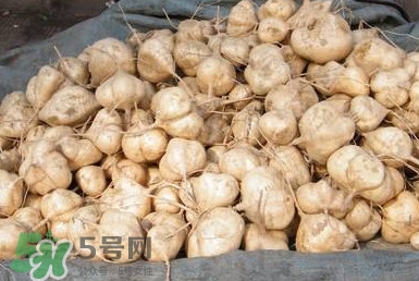 土瓜怎么做好吃？土瓜的做法大全