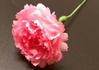母親節(jié)可以送紙做的康乃馨嗎？康乃馨怎么折？