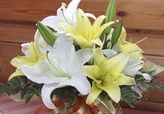百合花多少錢一支2017？百合花多少錢一束2017？