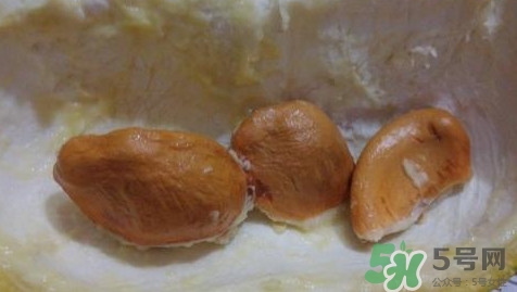 榴蓮核能種嗎？榴蓮核怎么種盆栽？