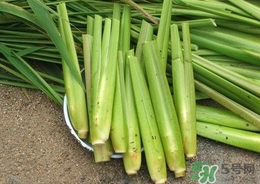 茭白能放冰箱嗎？茭白可以放冰箱多久