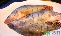 鱖魚(yú)是海魚(yú)嗎？鱖魚(yú)是淡水魚(yú)還是海魚(yú)