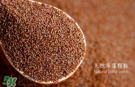 海藻面膜要泡多久最好？海藻面膜要泡多長時(shí)間？