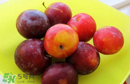李子可以和西紅柿一起吃嗎？西紅柿和李子能同吃？