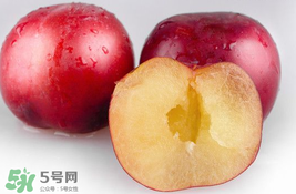 李子可以和西紅柿一起吃嗎？西紅柿和李子能同吃？