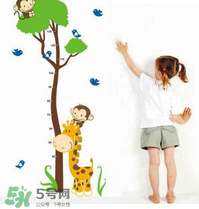 給孩子補鈣可以長高嗎？身高跟補鈣有沒有直接關(guān)系？