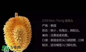 金枕頭和貓山王哪個好？金枕頭和貓山王的區(qū)別