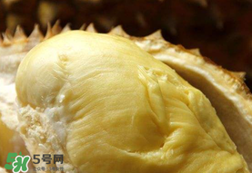 金枕頭榴蓮幾月份上市？金枕頭榴蓮什么時(shí)候上市？