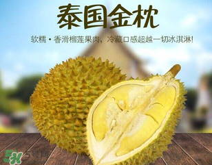 金枕頭榴蓮怎么才算熟？金枕頭榴蓮怎么催熟？