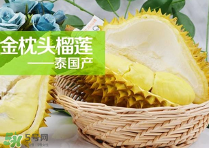 金枕頭榴蓮怎么才算熟？金枕頭榴蓮怎么催熟？