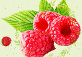 刺泡的熱量 刺泡可以減肥嗎？