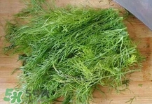 茴香菜是什么菜？茴香菜是香菜嗎