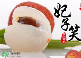 荔枝為什么叫妃子笑？荔枝和妃子笑的區(qū)別
