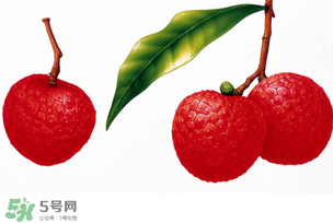拉肚子能吃荔枝嗎 ？拉肚子可以吃荔枝嗎 ？