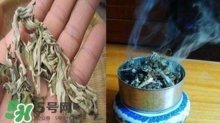 艾葉可以驅(qū)蚊子嗎？艾葉能驅(qū)蚊子嗎