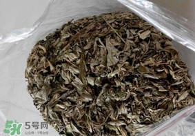 艾葉枕頭孕婦可以用嗎？艾葉枕頭小孩可以用嗎