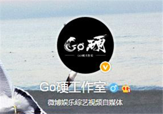 go硬工作室和卓偉有什么關(guān)系？go硬工作室是卓偉前員工成立的？