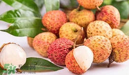 妃子笑荔枝是哪里出產(chǎn)的？妃子笑荔枝產(chǎn)地是哪里