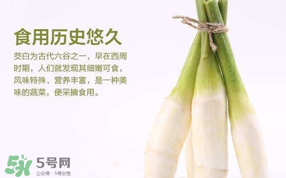 茭白是發(fā)物嗎？茭白是不是發(fā)物