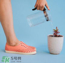 native鞋中文名稱是什么？native鞋中文怎么翻譯？