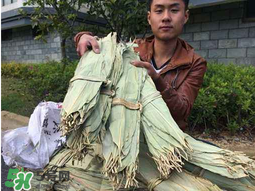 干粽葉怎么煮？干粽葉煮多久？