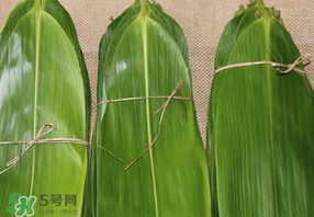 干粽葉要煮嗎？干粽葉到底是泡好還是煮好？