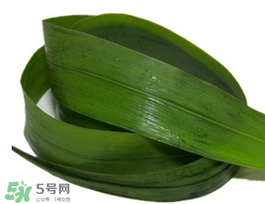 粽葉有幾種？粽葉哪種好？