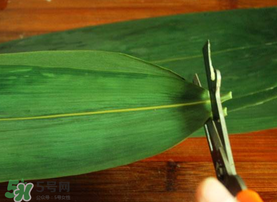 粽葉是干的好還是新鮮的好？干棕葉好還是新鮮棕葉好？