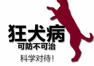 狂犬病會(huì)傳染嗎？狂犬病會(huì)學(xué)狗叫嗎