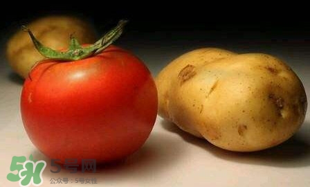 西紅柿能和土豆一起吃嗎？土豆可以和西紅柿一起吃嗎