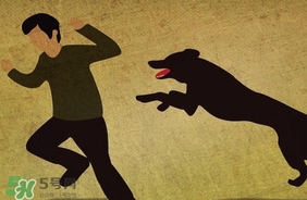 狂犬病疫苗什么時(shí)候打？狂犬病潛伏期最長(zhǎng)多久
