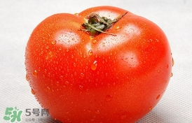 西紅柿能和黃瓜一起吃嗎？黃瓜可以和西紅柿一起吃嗎？