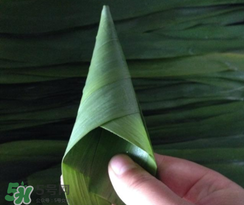 粽子葉能冷凍嗎？粽子葉放冰箱冷藏還是冷凍？