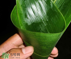 粽子葉能冷凍嗎？粽子葉放冰箱冷藏還是冷凍？