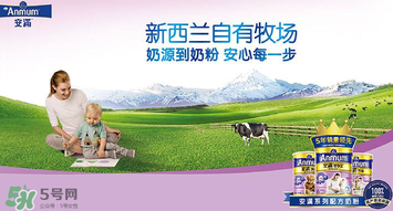 安滿滿睿幼兒配方奶粉怎么樣？安滿滿睿奶粉怎么沖？