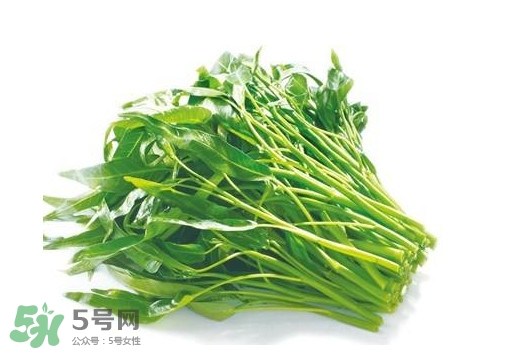 空心菜能和雞蛋一起吃嗎？雞蛋可以和空心菜一起吃嗎
