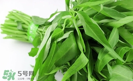 空心菜可以放冰箱嗎？空心菜能在冰箱放幾天