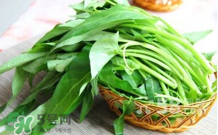 空心菜有毒嗎？空心菜需要焯水嗎？