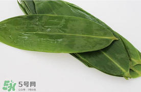 新鮮粽葉怎么處理？新鮮粽子葉怎樣處理？