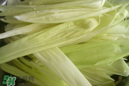 玉米葉可以包粽子嗎？包棕子用玉米葉可以嗎?