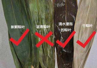 粽葉怎么曬干？粽葉怎么曬干不卷？