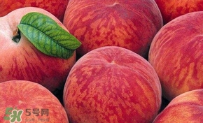 桃子和西瓜一起吃會中毒嗎？桃子和西瓜能一起吃嗎？