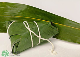 新鮮粽葉怎么處理？新鮮粽子葉怎樣處理？