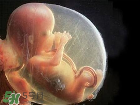 懷孕四個(gè)月需要做什么檢查？懷孕四個(gè)月胎兒圖