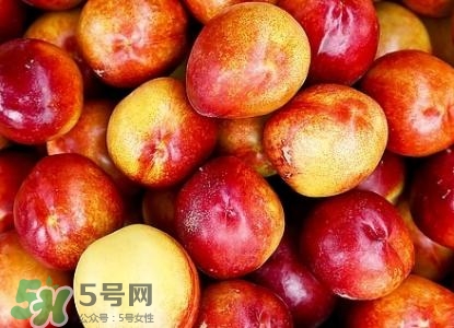 桃子的種類有哪些？哪種桃子最好吃？