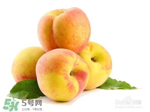桃子的種類有哪些？哪種桃子最好吃？